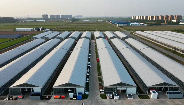 塑胶配件组件质量检验的实用技巧与日常维护建议